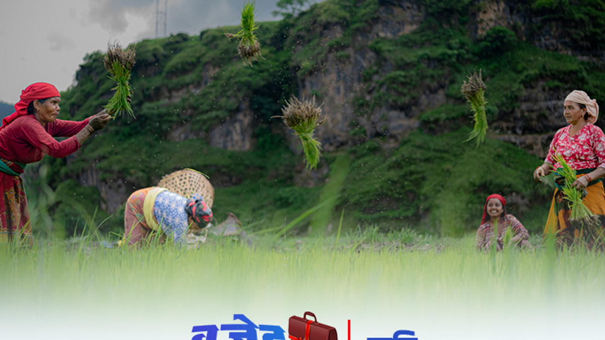 कृषि बजेट सीमा घट्यो, के चाहन्छन् किसान ? – Online Khabar